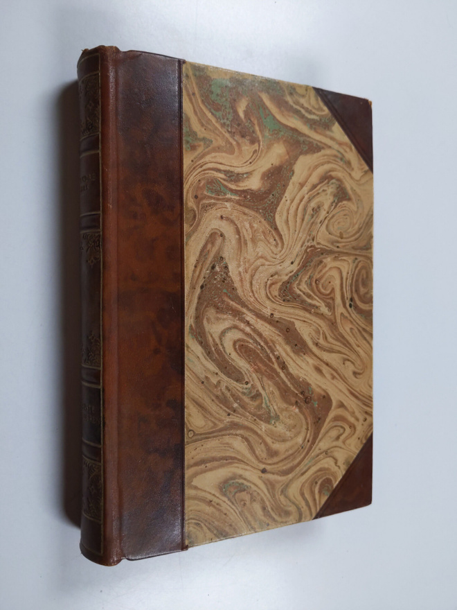 Alexandre Dumas : Den siste chevalieren
