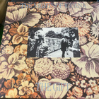 The Nights of Iguana: The Gift 1986 LP - pikkukuva 1