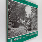 Alan Wills : Southern Branch Line Special No.1 : Bodmin a... - pikkukuva 1