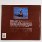 David Miller : Hylkeet - pikkukuva 2