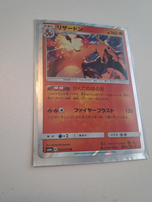 Charizard Dragon storm