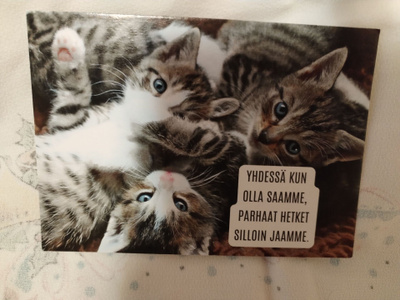 Kissa kortti,kulkematon.