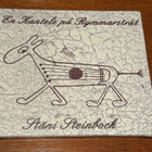 Stäni Steinbock: En kantele på rymmarstråt SEALED 2011 CD - pikkukuva 1
