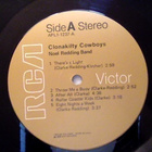 NOEL REDDING BAND :: CLONAKILTI COWBOYS :: VINYYLI LP 1975 - pikkukuva 3