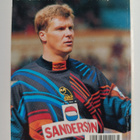 Pekka Ollilainen : Veikkaajan käsikirja 1993-1994 - pikkukuva 2