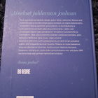 Suuri joulukirja 2009 askartelu ja kokkailu ohjeita - pikkukuva 2