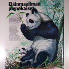 Eläinmaailman pienokaiset - pikkukuva 2