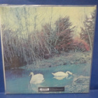 AFFINITY - S/T M-/M- EU 2014 GATEFOLD REISSUE LP - pikkukuva 2