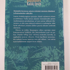 Liisa Hännikäinen : Kaikki hyvin - pikkukuva 2