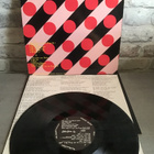 EBBA GRÖN: We’re Only In It For The Drugs! Lp levy - pikkukuva 3