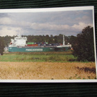 M/S Astrea. Laivapostikortti - pikkukuva 1