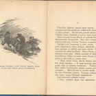Arvid Lydecken <> MURAD BEY - Suomenlinnan sankari 1950 2.p - pikkukuva 2