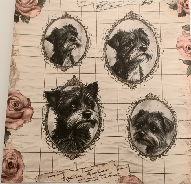 Korttikuva-arkki KOIRAT / 15 x 15 cm