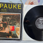 LP Piirpauke: Villi itä - pikkukuva 1