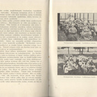 Robert Elmgren: Keuhkotauti 1913 - pikkukuva 4
