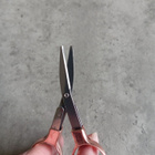 Uudet Ruusukultaiset Kokoontaittuvat Matkasakset (8,5 cm) - pikkukuva 4