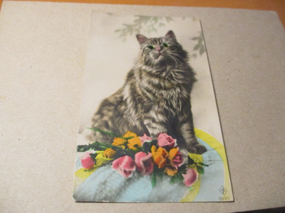 Kissa,  vanha silmäkortti *