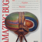 Miranda MacQuitty : Amazing bugs - pikkukuva 2