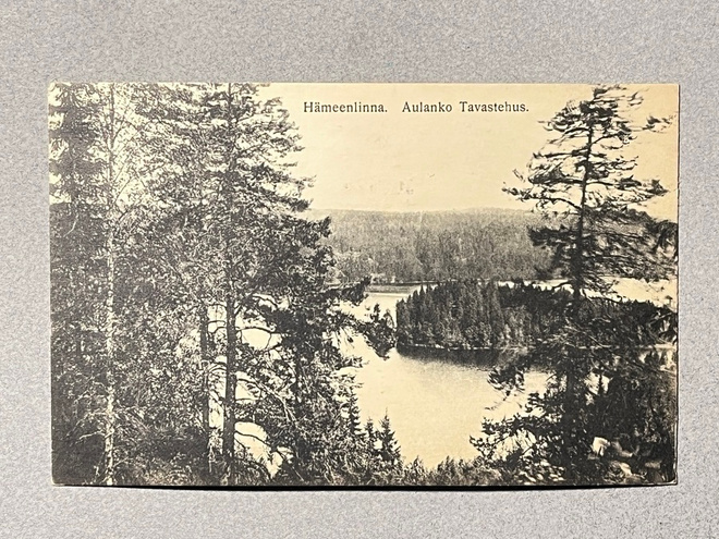 Hämeenlinna, Aulangon järvi 1915