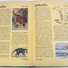 Nuorten eläinkuvasto keräilykuvineen 50-luvulta. - pikkukuva 3