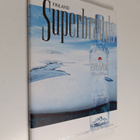 Riitta Kuosmanen : Superbrands Finland : an insight into ... - pikkukuva 1