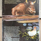 James Herriot - Luojanluomat ystäväni (sid.) - pikkukuva 2