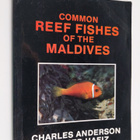 Charles Anderson : Common reef fishes of the Maldives 1 - pikkukuva 1