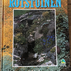 ROTSTUINEN Wiert Nieuman, ideeen, mogelijkheden, constructie - pikkukuva 1
