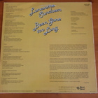 Lonsome Sundown:Been Gone too Long LP - pikkukuva 2