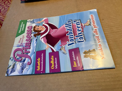 PRINSESSA LEHTI 11/2017 HYVÄ