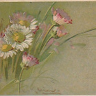 Postikortti, ONNITTELUKORTTI, v 1911 - pikkukuva 1