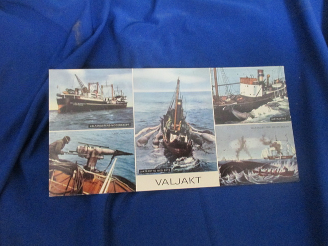 VALJAKT - postikortti valaanpyynnistä