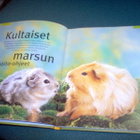 Birmelin: MARSUNI JA MINÄ (1.p.2001) Sis.postikulut - pikkukuva 3