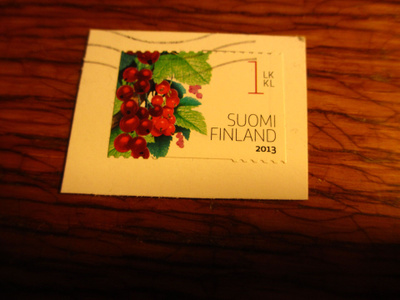 suomi pm leike 1lk 2013 punaherukka