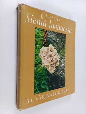 H. Kleijn : Sieniä luonnossa