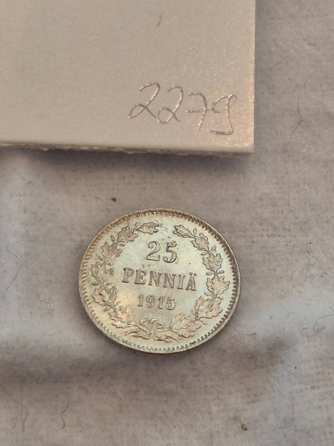 25 penniä 1915, Suomi