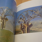 Eila Hiltunen - Taidekirja - 1.p.1992 - pikkukuva 3
