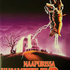 NAAPYRISSA KUMMITTELEE 2 DVD - pikkukuva 1