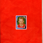 PANINI Keräilykuva n:o 212 DIRK KUYT Liverpool FC - pikkukuva 1