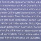 Terri Farley: Mustangien kuningatar - pikkukuva 2