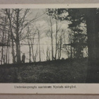 Nystads: Skärgård o (1946) - pikkukuva 1