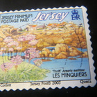 Jersey 2003: rantakasveja - pikkukuva 5