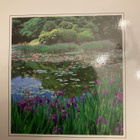 INVATIONS TO KYOTO GARDENS - pikkukuva 2