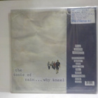 DEEP PUDDLE DYNAMICS - THE TASTE OF RAIN EX+/EX+ 2LP - pikkukuva 2