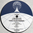 Lemonheads - Hate Your Friends LP 1987 UK Vinyyli - pikkukuva 4