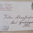Halausasteelle ehtinyt nuoripari kansanpuvuissa, p. 1903 - pikkukuva 2