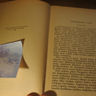 Karl May: Inkan testamentti, sidottu - pikkukuva 5