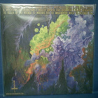 ACID WITCH - WITCHTANIC HELLUCINATIONS M/M- LP - pikkukuva 2