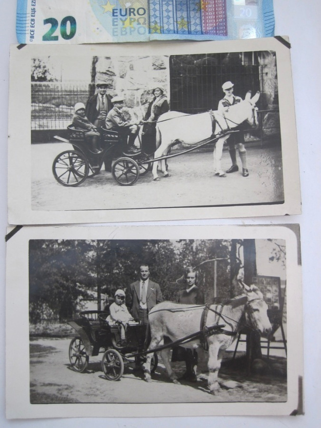 2 VANHAA Valokuvaa Helsinki Korkeasaari 1920-l