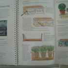  Puutarhakirja Gardening with containers – ruukku viljely - pikkukuva 2